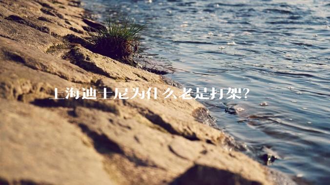 上海迪士尼为什么老是打架？