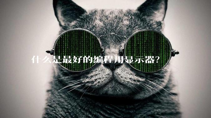 什么是最好的编程用显示器？